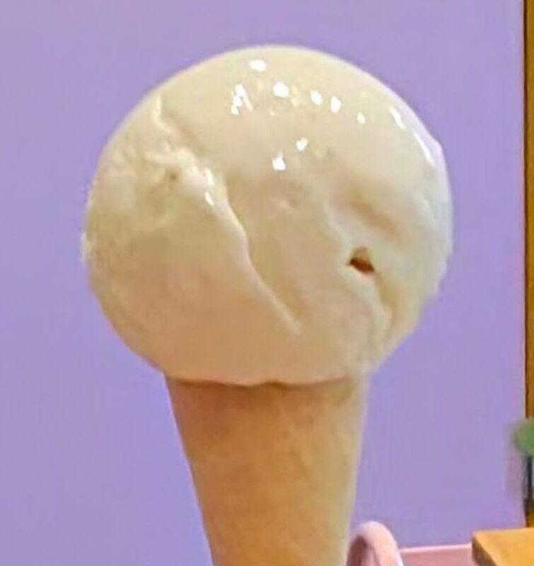 Puppy Cone