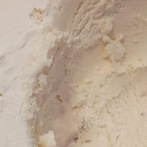 Vanilla Bean