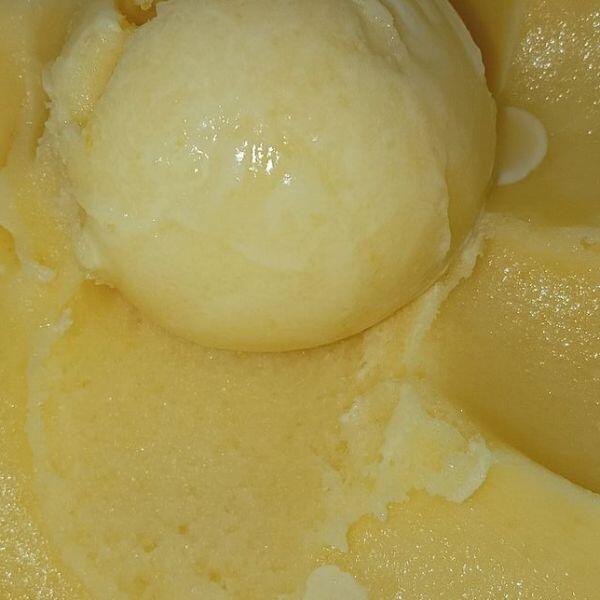Sorbet - Mango